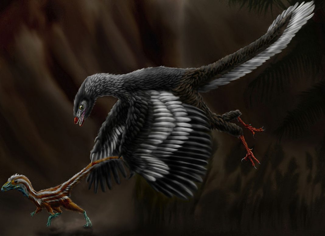 Archaeopteryx, pasărea preistorică din Jurasicul superior