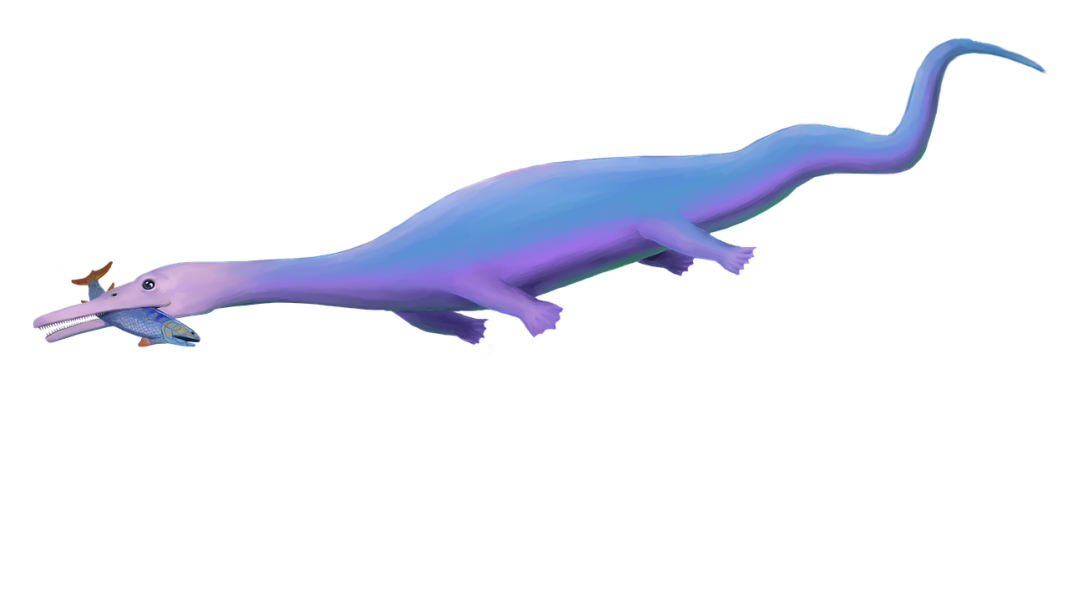 Askeptosaurus, un nothozaur cu aspect de crocodil