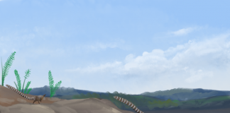 Cum trăiau dinozaurii Leaellynasaura în peisajul cretacic al Australiei