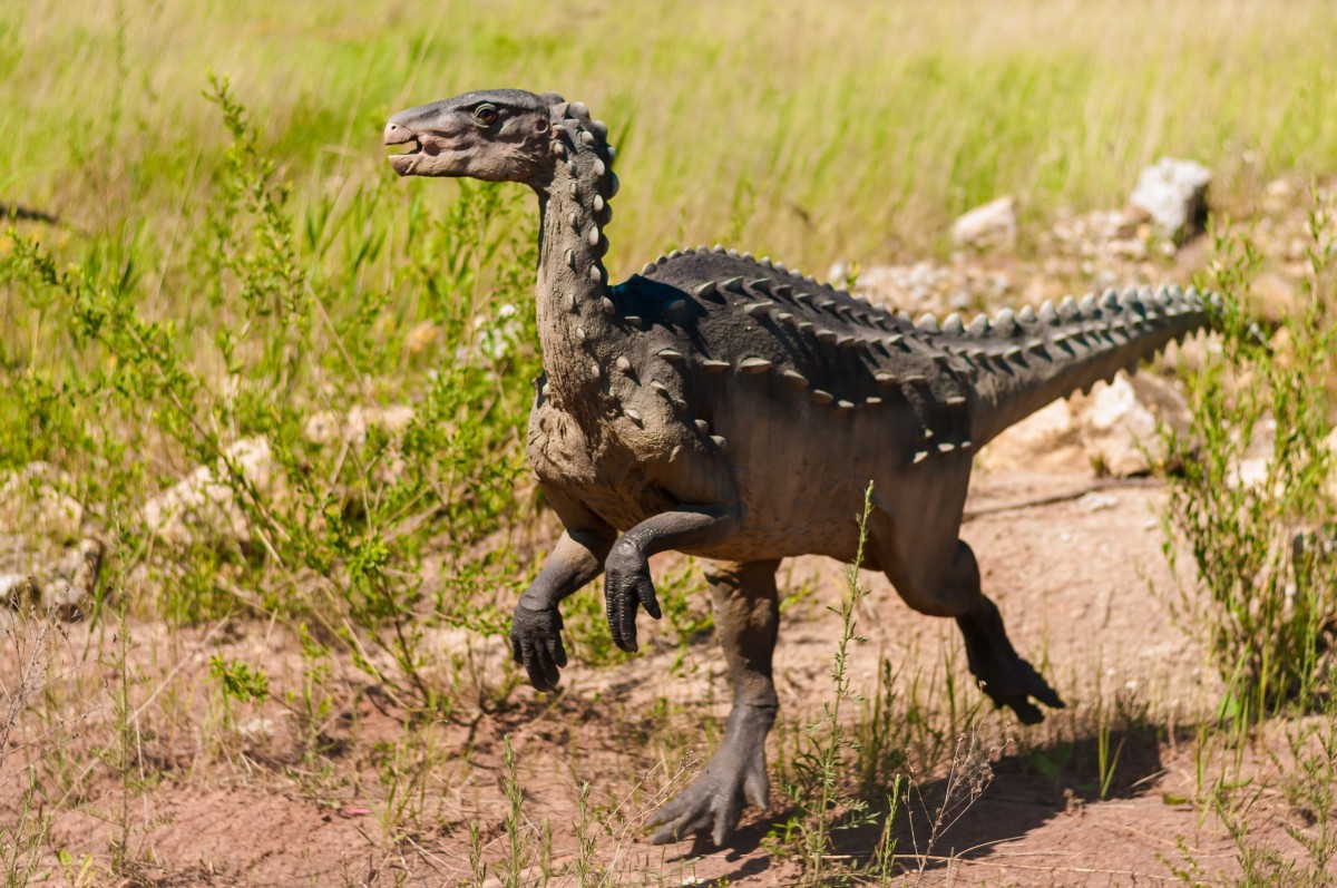 Dinozaurul Abrictosaurus descoperit în Africa de Sud