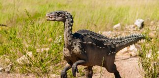 Dinozaurul Abrictosaurus descoperit în Africa de Sud