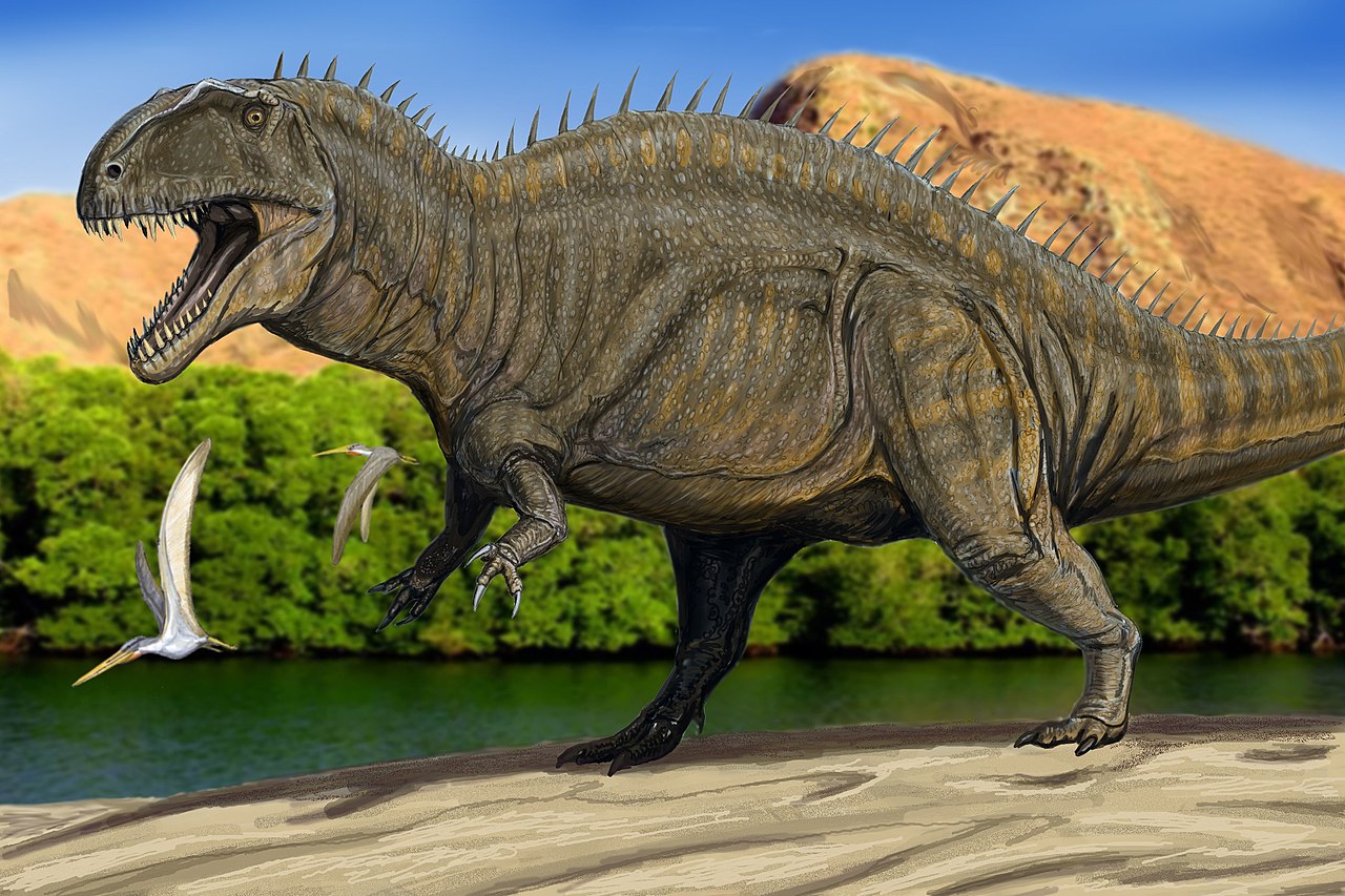 Dinozaurul Acrocanthosaurus, numit ,Reptila cu țepi mari