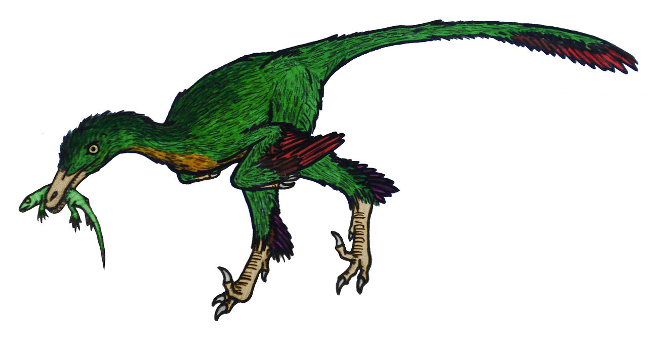 Dinozaurul Buitreraptor, strămoșul păsărilor