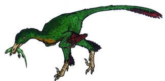 Dinozaurul Buitreraptor, strămoșul păsărilor