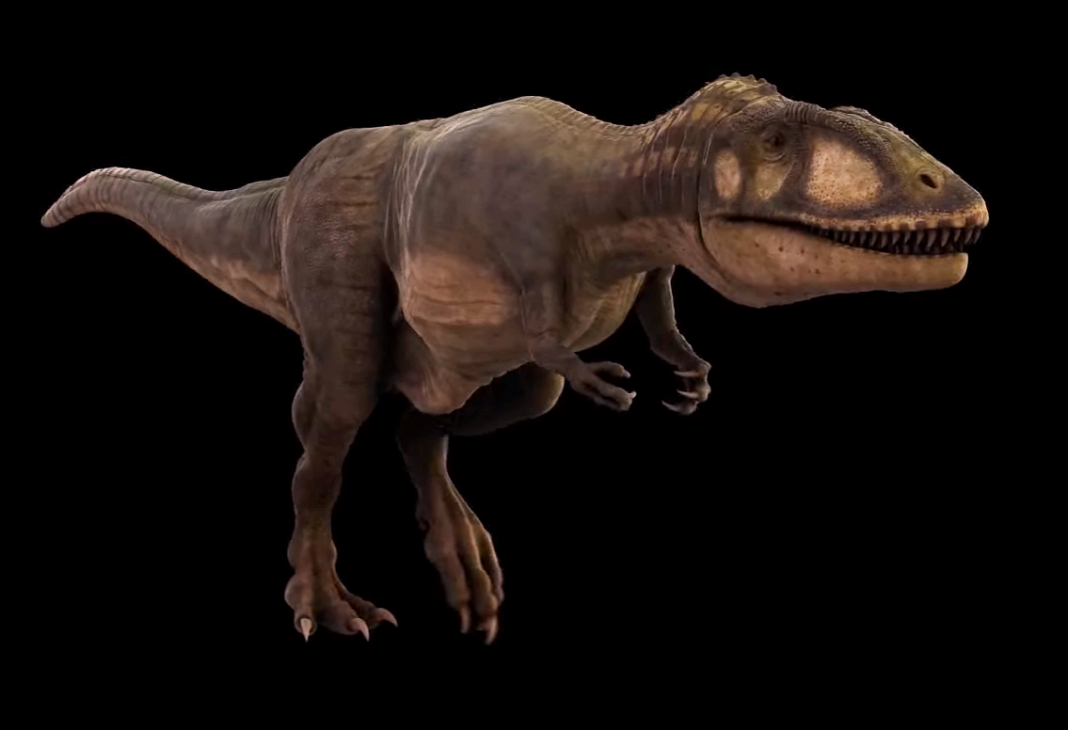 Dinozaurul Carcharondontosaurus, unul dintre cei mai mari prădători din Cretacic