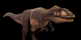 Dinozaurul Carcharondontosaurus, unul dintre cei mai mari prădători din Cretacic