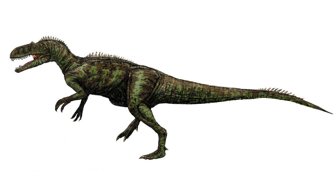 Dinozaurul Chilantaisaurus, un carnivor din era Mezozoică Dinozaurul Chilantaisaurus, un carnivor din era Mezozoică
