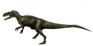 Dinozaurul Chilantaisaurus, un carnivor din era Mezozoică