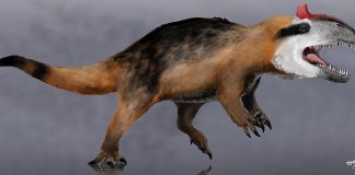 Dinozaurul Cryolophosaurus - șopârla cu creastă descoperită în Antarctica