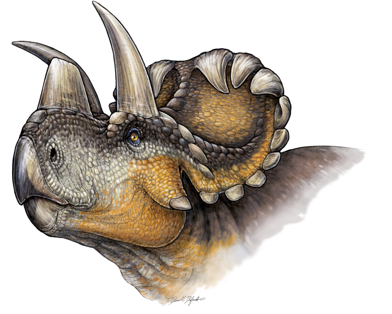 Dinozaurul Diceratops