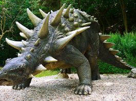 Dinozaurul Edmontonia din America de Nord, un dinozaur erbivor cu carapace