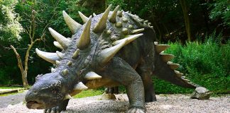 Dinozaurul Edmontonia din America de Nord, un dinozaur erbivor cu carapace