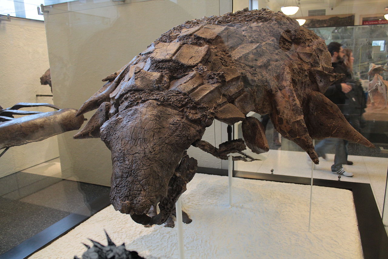 Dinozaurul Edmontonia