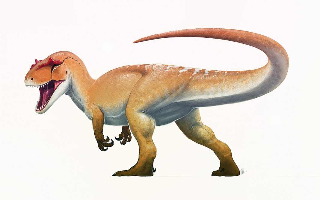 Dinozaurul Elmisaurus, a trăit acum 80 de milioane de ani Dinozaurul Elmisaurus, a trăit acum 80 de milioane de ani