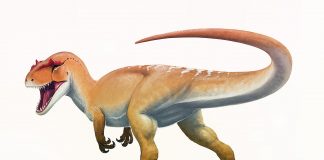 Dinozaurul Elmisaurus, a trăit acum 80 de milioane de ani