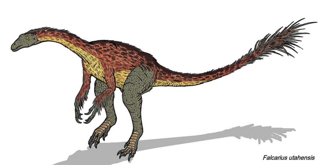 Dinozaurul Falcarius avea corpul acoperit cu pene