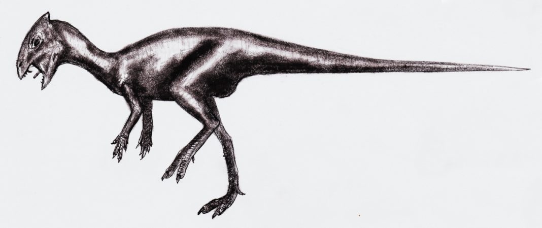 Dinozaurul Goyocephale, un animal preistoric mic