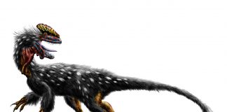 Dinozaurul Guanlong - Dragonul cu creastă