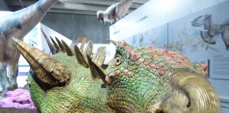 Dinozaurul Huayangosaurus din China, protejat prin plăci osoase