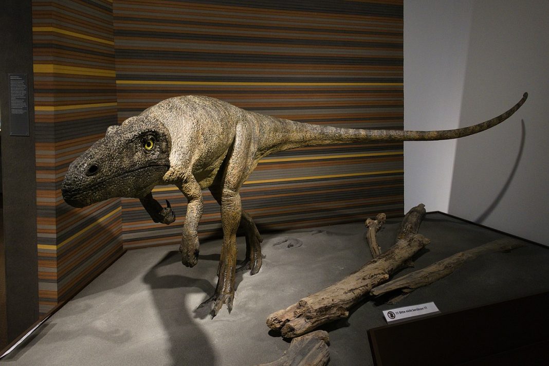 Dinozaurul Liliensternus