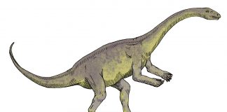 Dinozaurul Lufengosaurus, un uriaș prosauropod descoperit în China