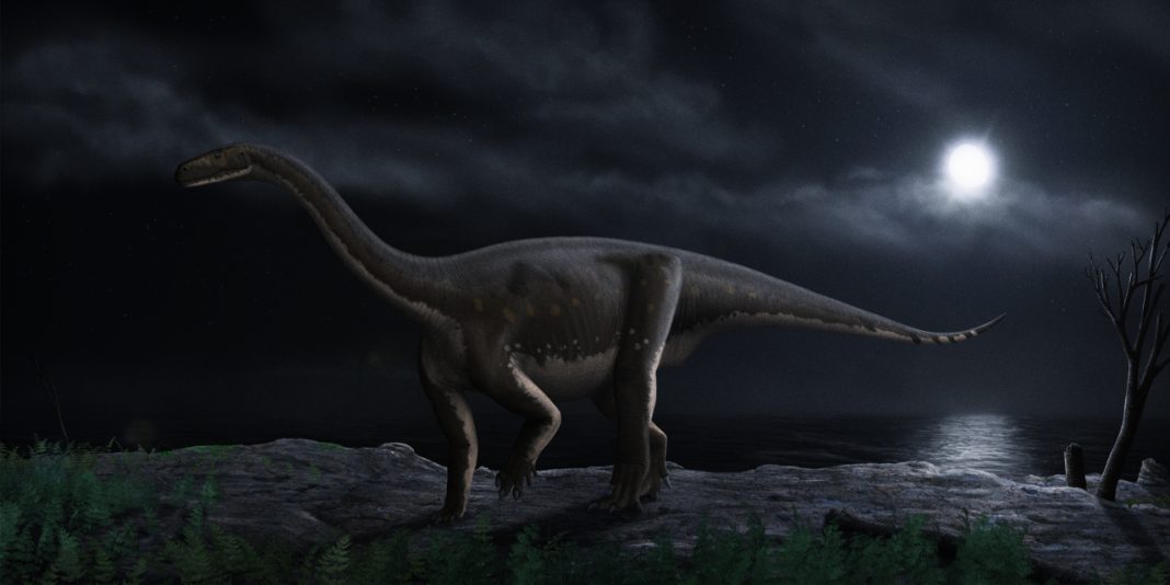 Dinozaurul Melanosaurus readi din Jurasicul superior al Africii de Sud