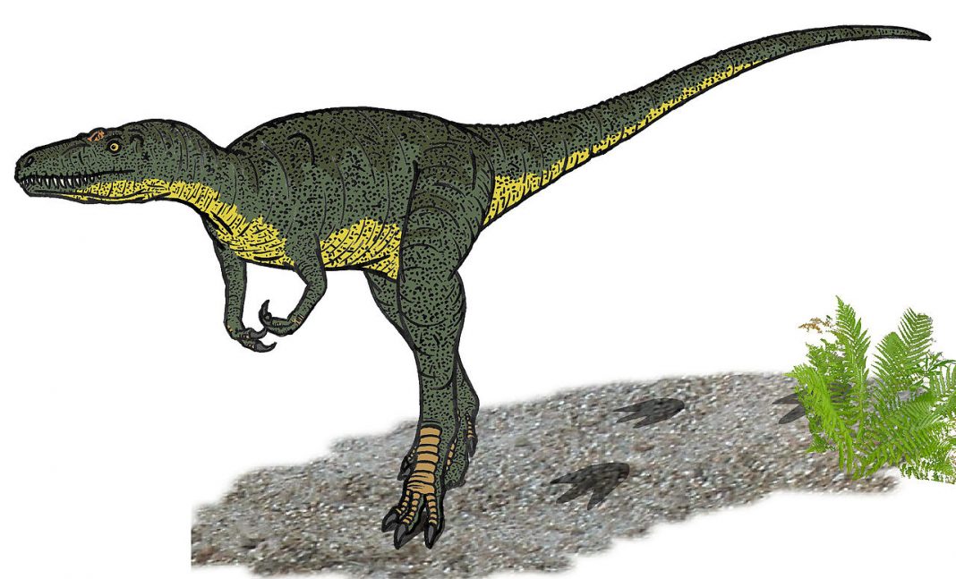 Dinozaurul Nanotyrannus, un prădător feroce din Cretacicul superior