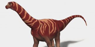 Dinozaurul Nemegtosaurus descoperit în Desertul Gobi