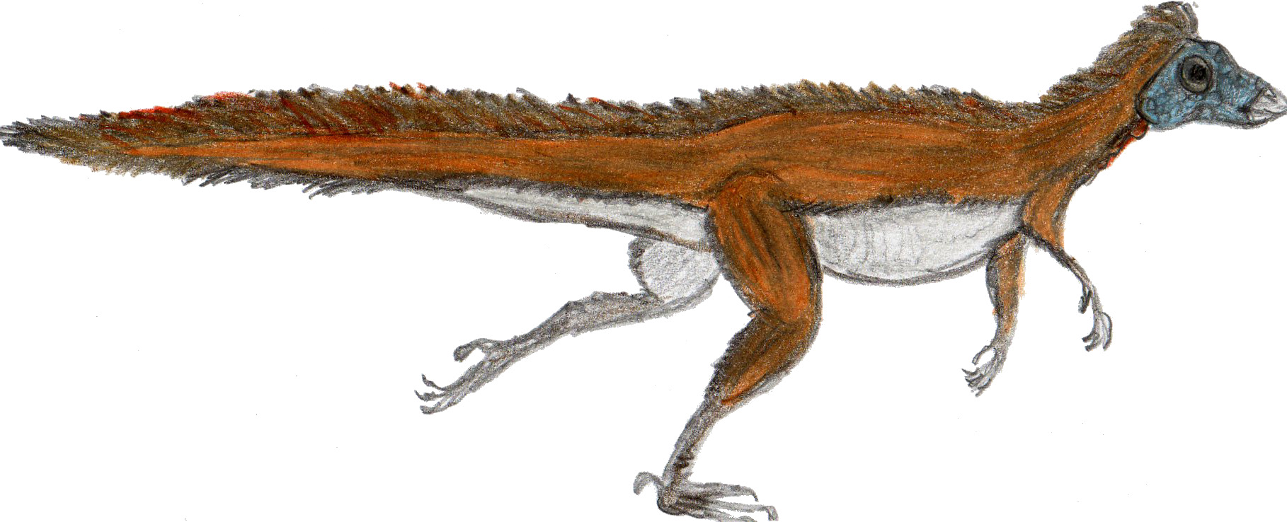 Dinozaurul Parksosaurus