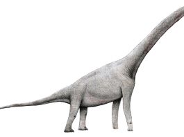 Dinozaurul Pelorosaurus descris de paleontologul Gideo Mantell