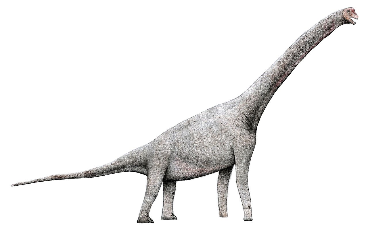 Dinozaurul Pelorosaurus descris de paleontologul Gideo Mantell Dinozaurul Pelorosaurus descris de paleontologul Gideo Mantell