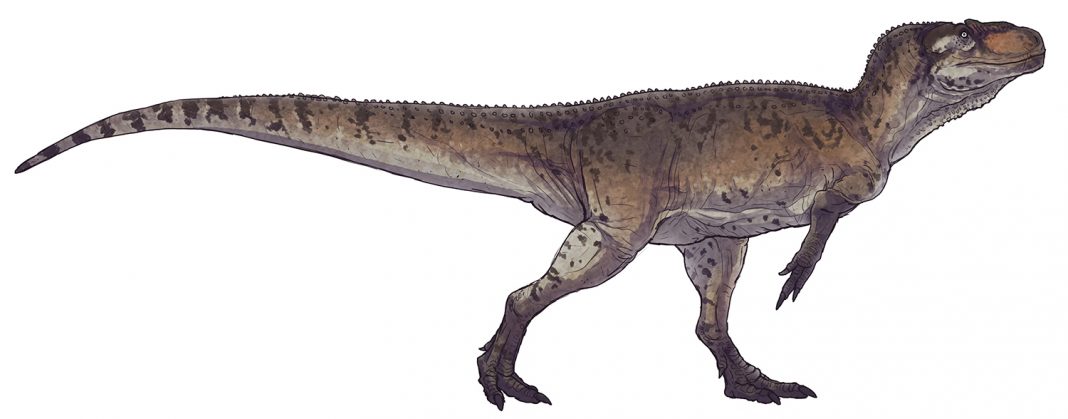 Dinozaurul Piatnitzkysaurus - șopârla Piatnitzky din era Mez