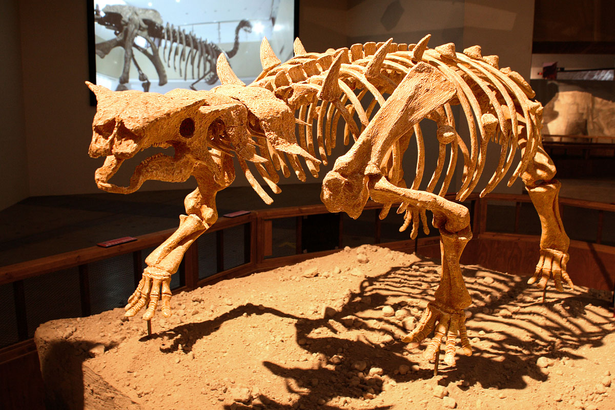 Dinozaurul Pinacosaurus