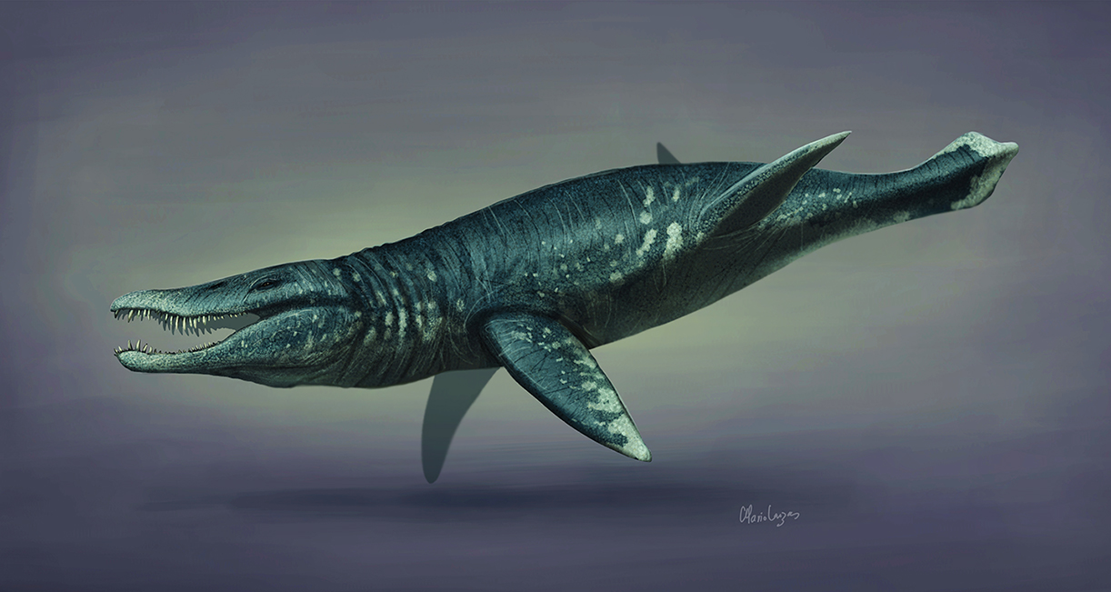 Dinozaurul Pliosaurus se asemăna cu un crocodil