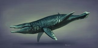 Dinozaurul Pliosaurus se asemăna cu un crocodil