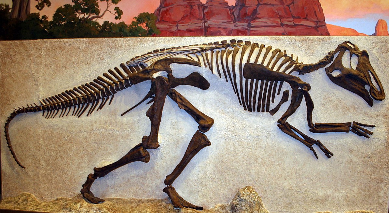 Dinozaurul Prosaurolophus