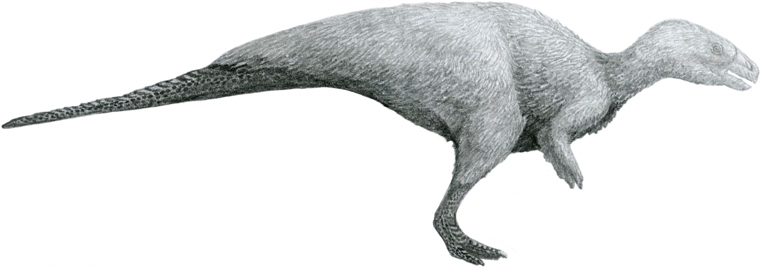 Dinozaurul Rhabdodon descris de paleontologul Philippe Matheron Dinozaurul Rhabdodon descris de paleontologul Philippe Matheron