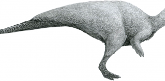 Dinozaurul Rhabdodon descris de paleontologul Philippe Matheron