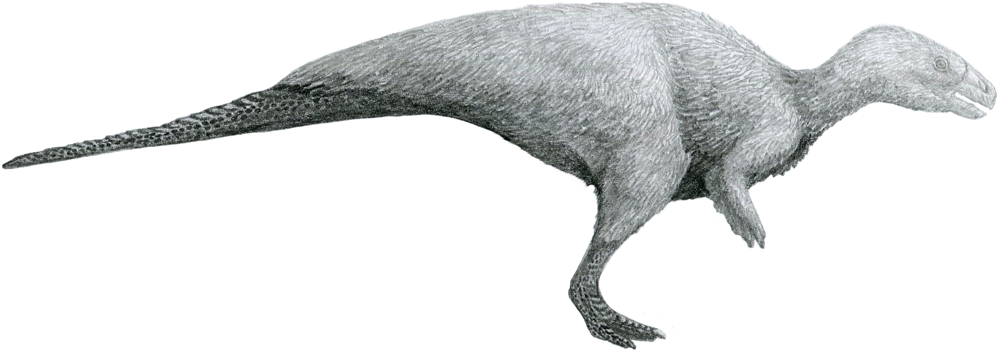 Dinozaurul Rhabdodon descris de paleontologul Philippe Matheron