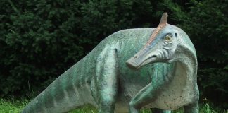 Dinozaurul Saurolophus - Șopârla cu creastă din Cretacicul superior