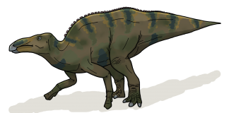 Dinozaurul Shantungosaurus - Reptila din Shandong, China