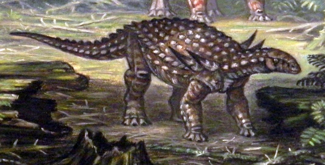 Dinozaurul Silvisaurus - șopârla de pădure Dinozaurul Silvisaurus - șopârla de pădure
