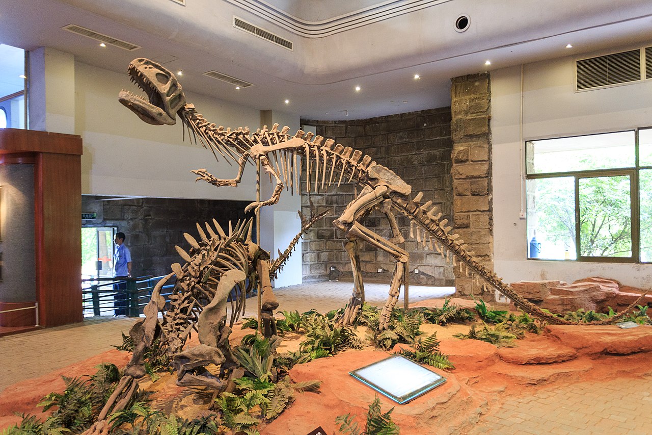 Dinozaurul Szechuanosaurus a trăit în Asia în perioada Jurasicului târziu