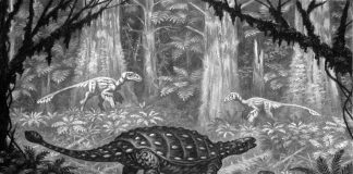 Dinozaurul Talarurus descris de paleontologul rus Evgeny Maleev