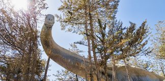 Dinozaurul Titanosaurus, un uriaș erbivor din Cretacicul inferior