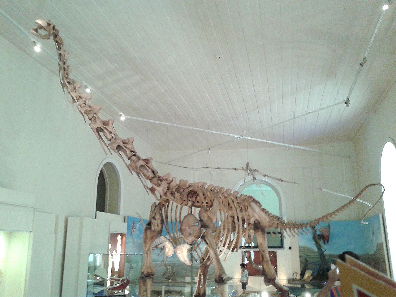 Dinozaurul Titanosaurus