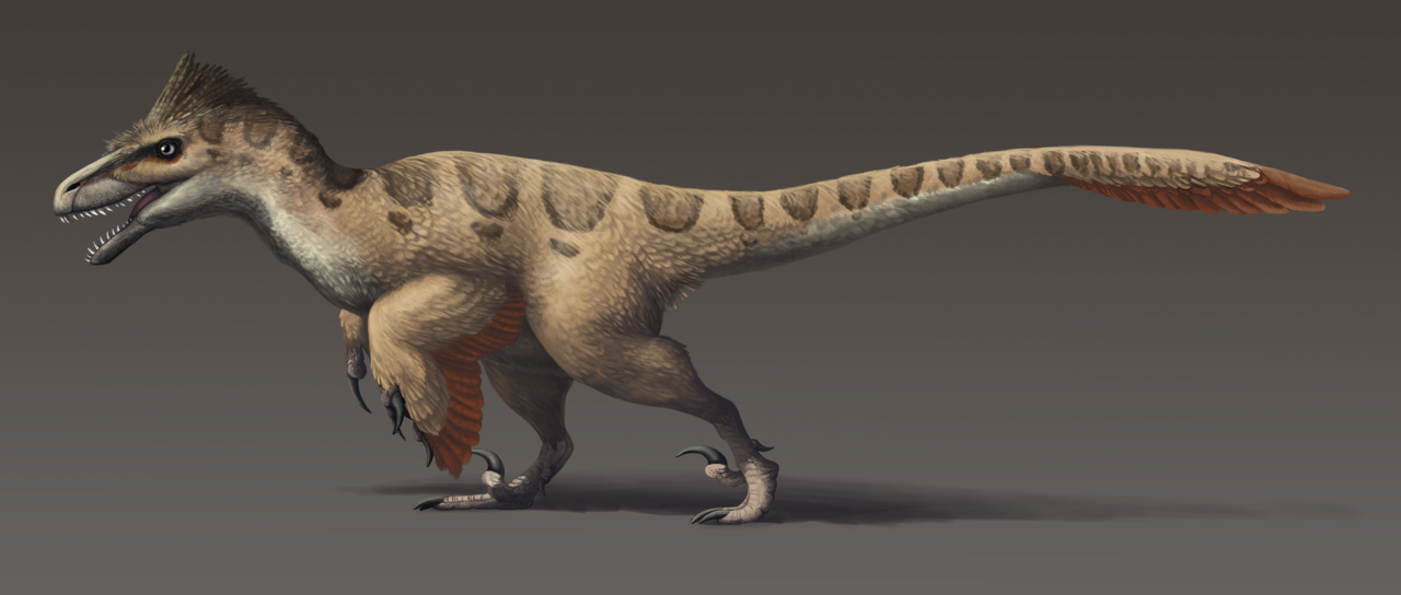 Dinozaurul Utahraptor descoperit în Utah-SUA