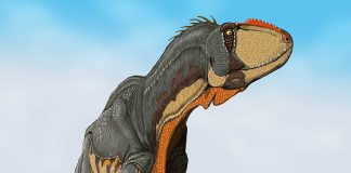 Dinozaurul Yangchuanosaurus, un carnivor feroce din Asia