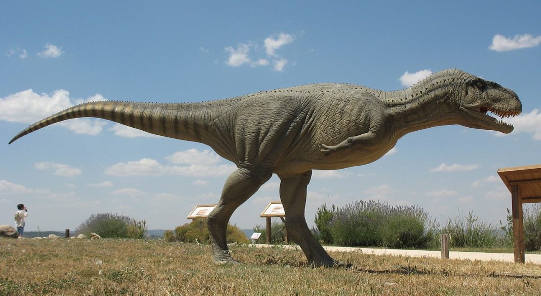 Dinozaurul carnivor Abelisaurus, denumită și șopârla lui Abel