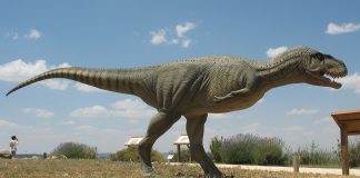 Dinozaurul carnivor Abelisaurus, denumită și șopârla lui Abel